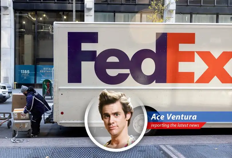 A FedEx cargo plane takes off, symbolizing the company's legal flight towards tariff refunds.