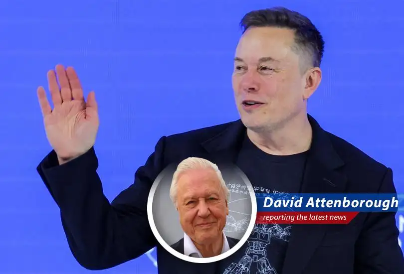 A Tesla vehicle navigating a winding road symbolizing the company's complex journey amidst market challenges and evolving strategies