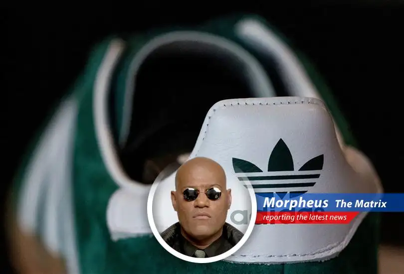 Adidas shares plummet as investors react to a disappointing 2026 financial outlook, highlighting challenges in a competitive global sportswear market.