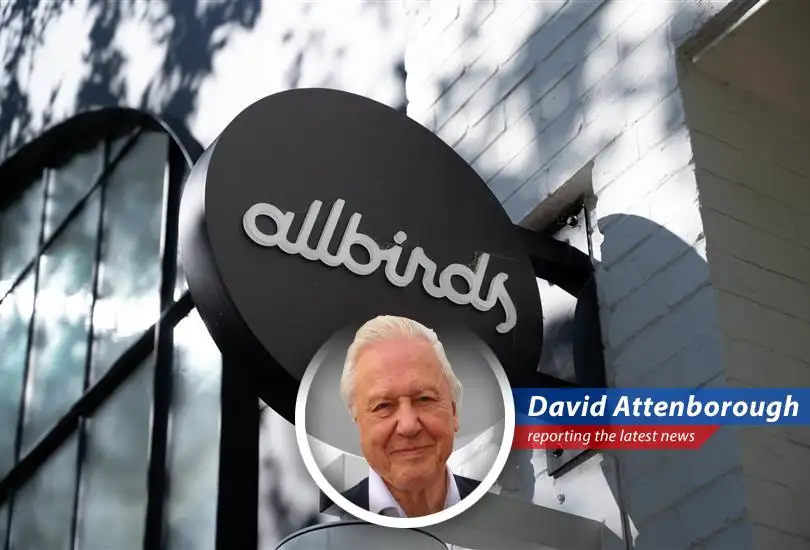 Allbirds' stock surge fueled by AI buzz may be a flight of fancy for retail investors.