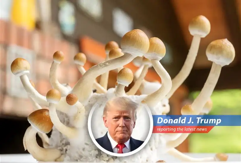 Atai Life Sciences poised for growth in the emerging psychedelic medicine market.