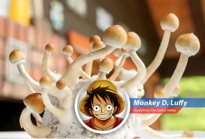 AtaiBeckley charting a course for the psychedelic medicine treasure.