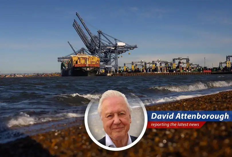 British businesses are increasingly looking to Europe for trade stability amidst growing uncertainty in US trade relations.