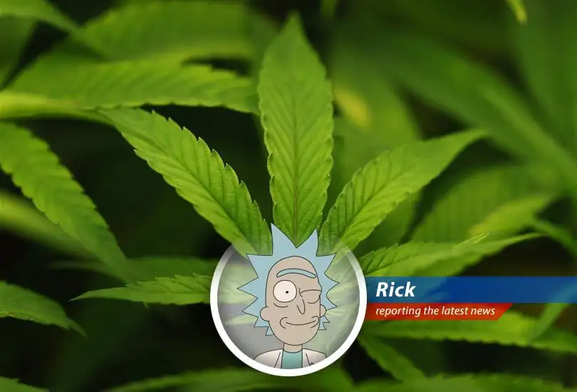 Cannabis buds are displayed, reflecting the potential shift in federal drug policy and research opportunities.