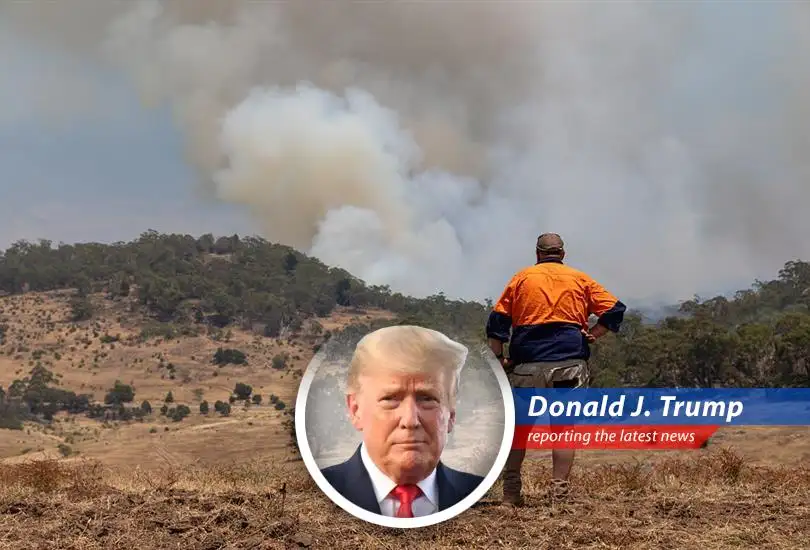 Catastrophe bonds see record issuance as investors seek refuge and returns in uncorrelated assets.