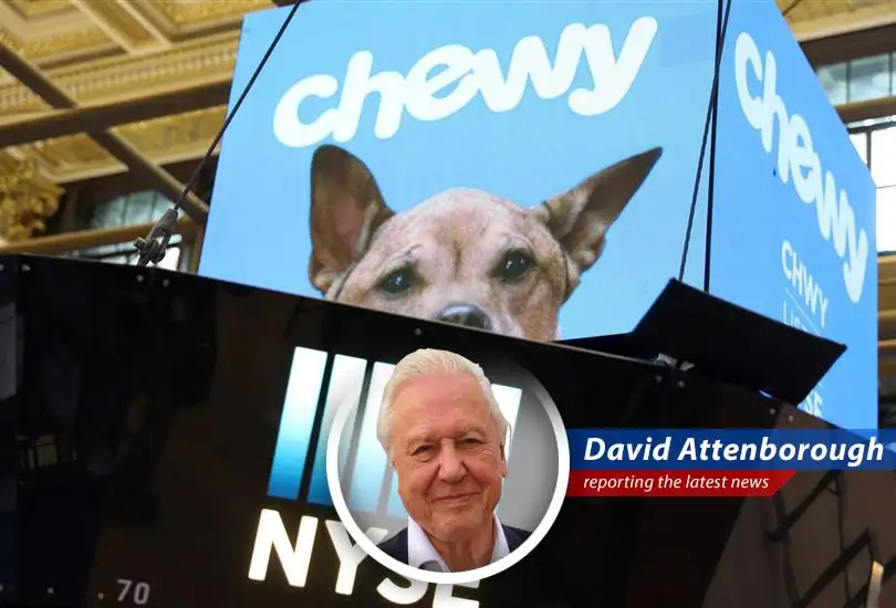 Chewy stock poised for potential resurgence, boosted by positive analyst outlook and strategic advancements.