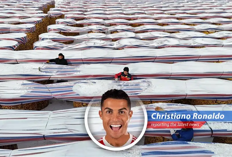 Chinese farmers are increasingly leveraging technology like drones and e-commerce to optimize agricultural production and distribution.