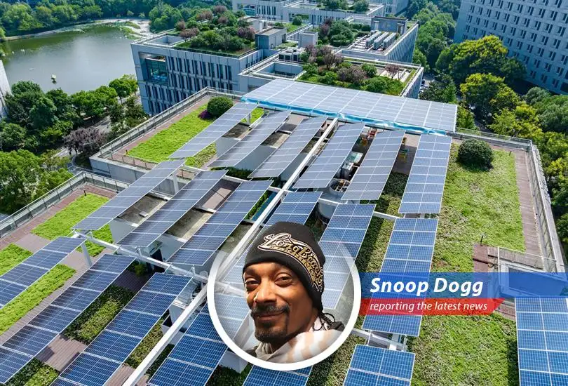 Commercial properties are getting a green makeover with C-PACE loans, making them cooler than a gin and juice.