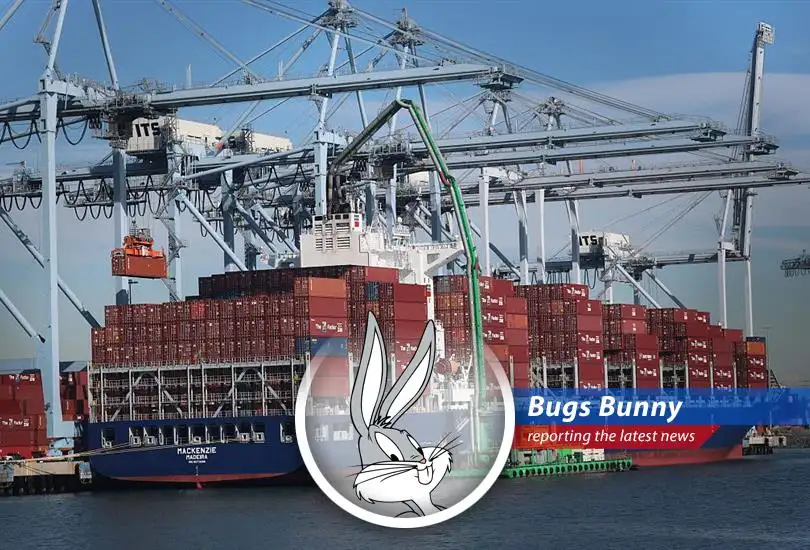 Customs officials inspecting goods at a U.S. port of entry amidst rising concerns about tariff-related bond insufficiencies.