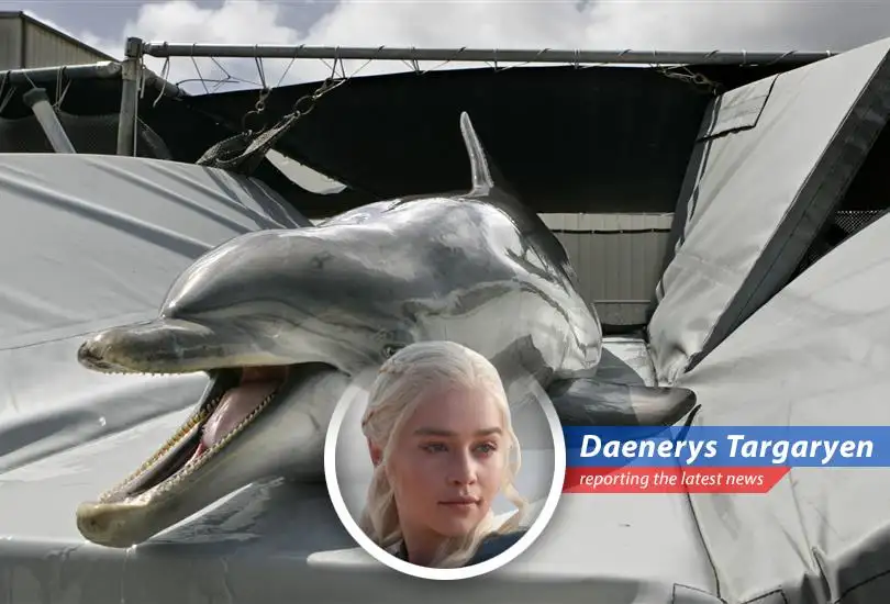 Dolphins have a long history of military use, including mine detection and surveillance.