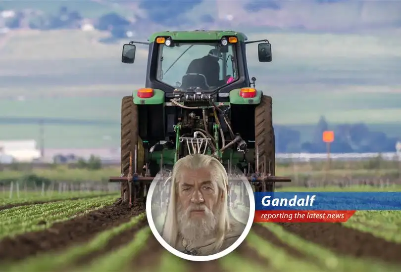 El Niño is predicted to impact global food production and security.