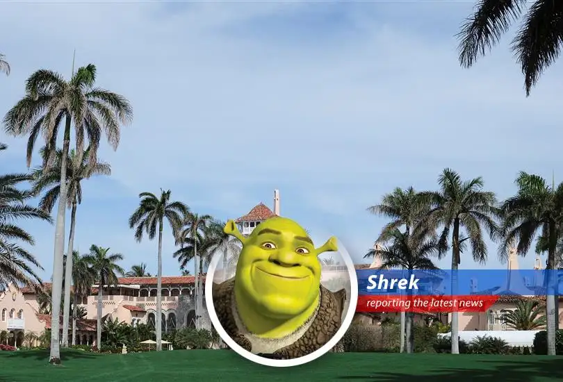 Emily Gregory, a Democrat, aims to flip a Republican-held seat in Florida, highlighting kitchen table issues and challenging the status quo in a Trump-influenced district