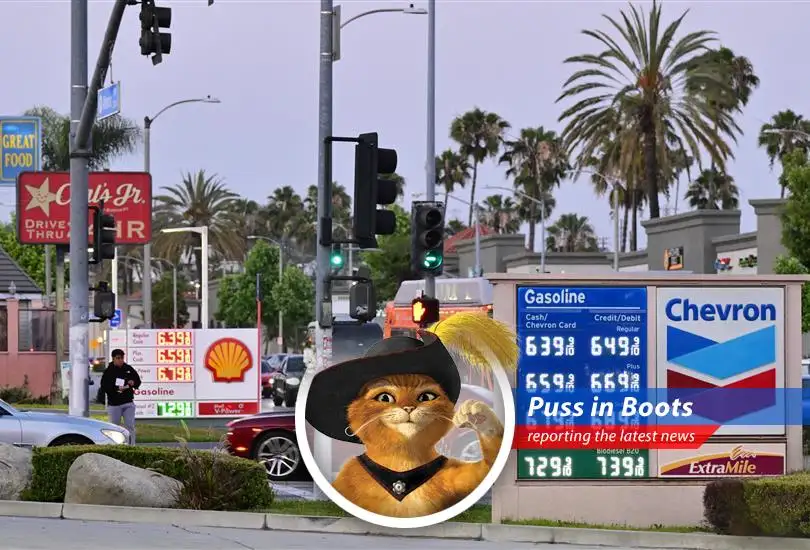 Gas prices soar as the debate heats up on suspending the federal gas tax. Is it a purr-fect solution or a hissing problem?