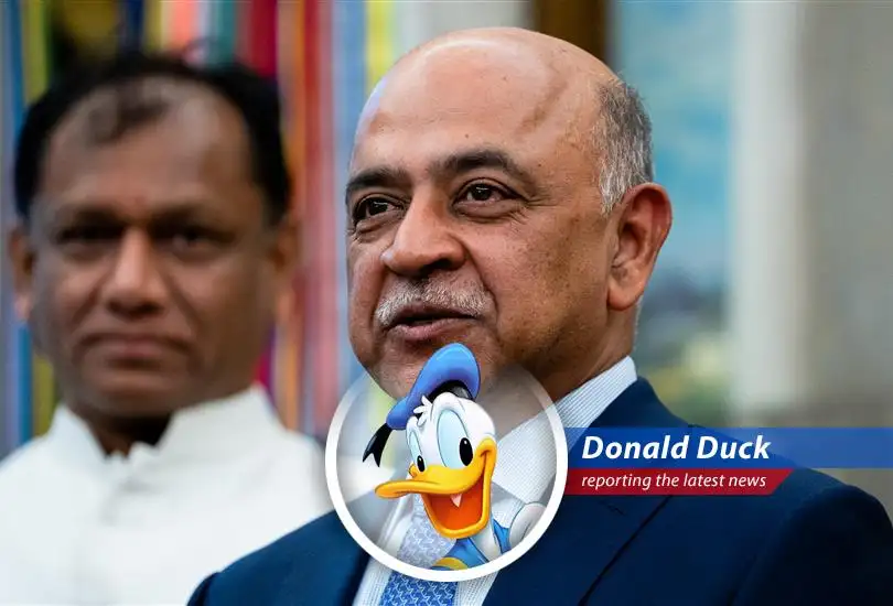 IBM's Q1 earnings were a mixed bag, leaving investors feeling a bit like a duck out of water.