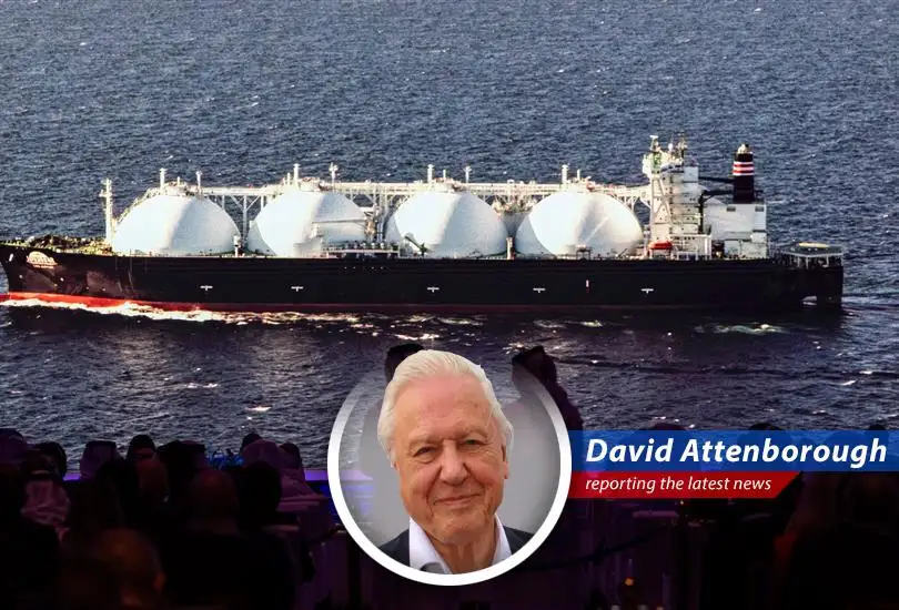 LNG tanker docked at a Qatari facility prior to the attack.