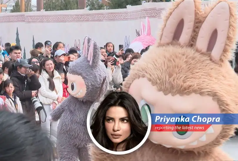 Labubu, the shaggy elf-monster, propelled Pop Mart to unprecedented heights, but now the company must prove it can sustain growth beyond a single character's popularity.