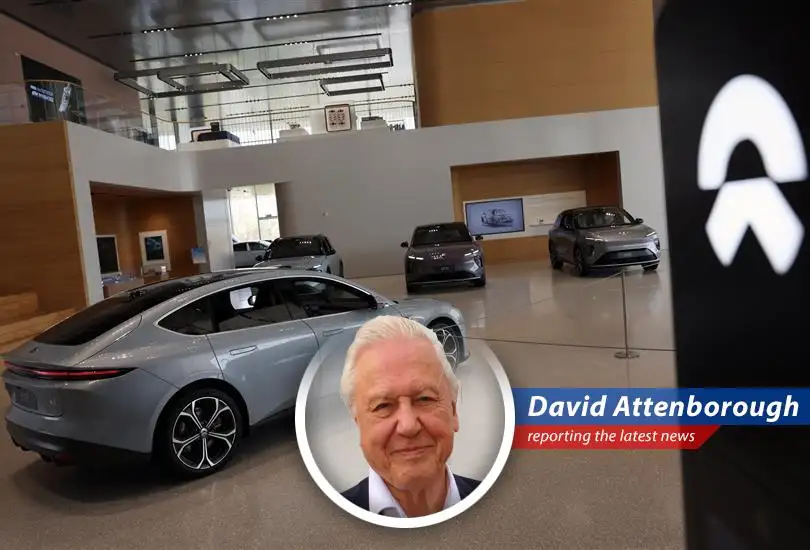 Lithia Motors CEO, Bryan DeBoer, addressing investors, highlighting the challenges of introducing Chinese auto brands to the U.S. market.