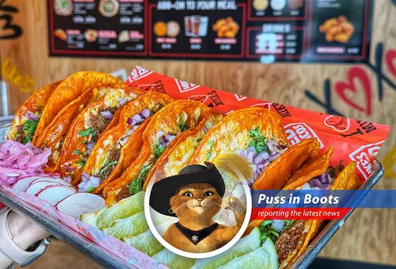 Mike's Red Tacos, poised for nationwide expansion with backing from restaurant franchising experts, promises to bring the birria trend to a neighborhood near you.