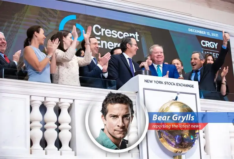 Navigating market volatility with expert-backed dividend stock picks for portfolio stability.