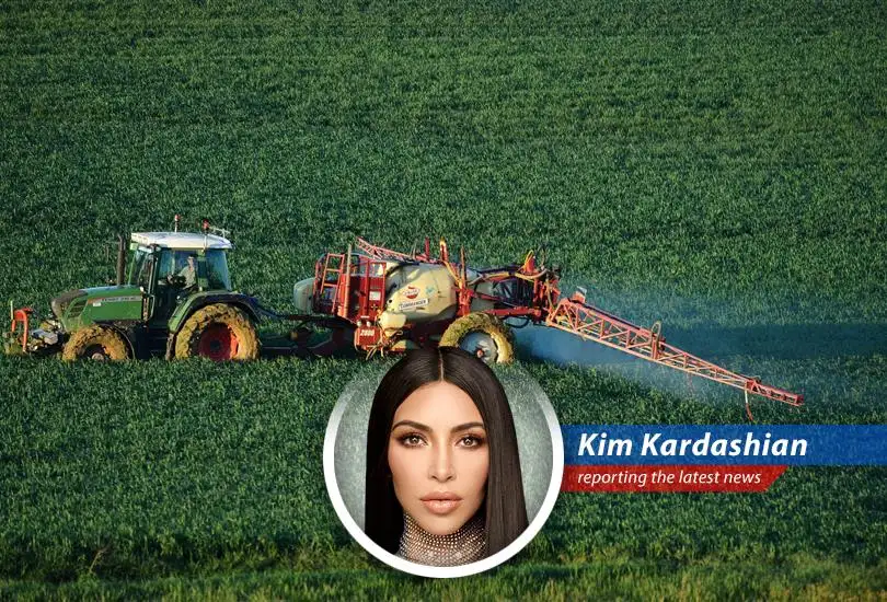 Navigating the stock market's ups and downs can feel like choosing the right filter – it's all about perspective.