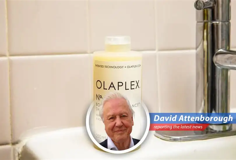 Olaplex products on display following the acquisition announcement by Henkel