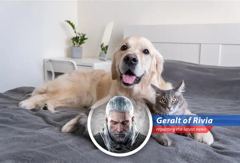 Pet care benefits are becoming a popular work perk as companies address employee caregiving needs.