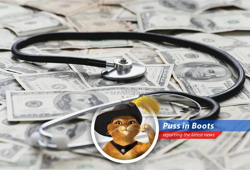 Puss in Boots unsheathes his financial acumen to guide you through the labyrinth of medical bills.