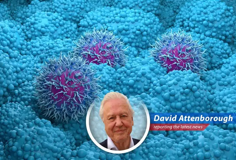 Revolution Medicines' daraxonrasib shows significant promise in treating pancreatic cancer, offering new hope to patients with this aggressive disease.