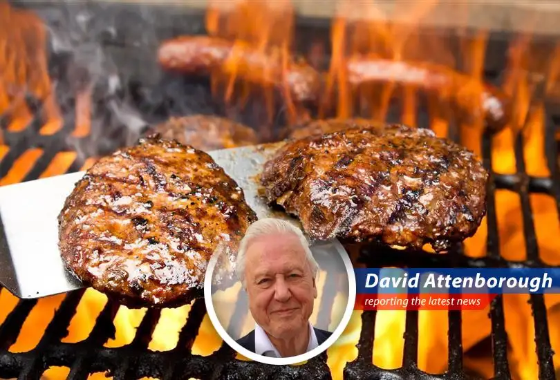 Rising beef prices signal a concerning trend for consumers and businesses alike as the cattle herd dwindles to historic lows.