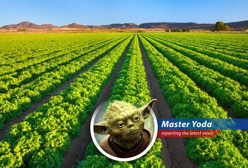 Rising energy costs in the Middle East are causing concern for Wall Street investors due to potential ripple effects on global food prices