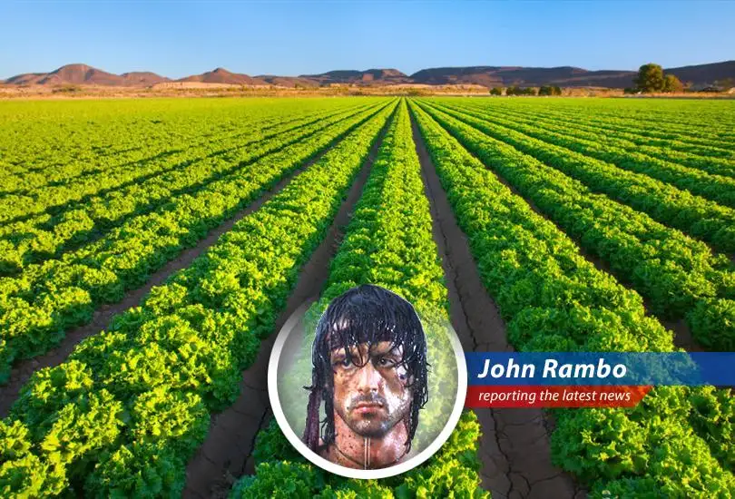 Rising energy prices and geopolitical tensions threaten global food supplies and affordability