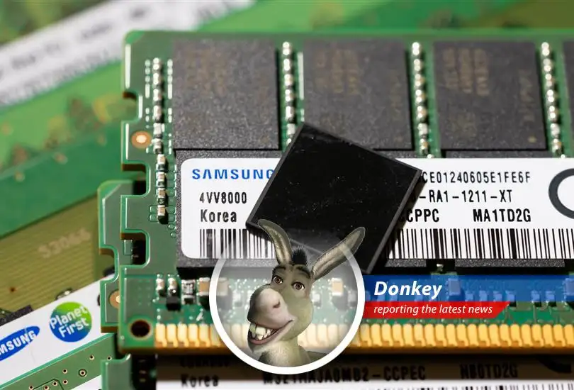 Semiconductor stocks are galloping ahead, driven by AI advancements and investor enthusiasm. But can this pace continue, or will it hit a swampy patch?