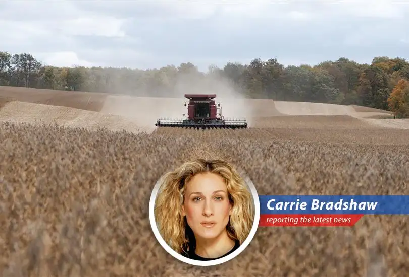 Small businesses across America are feeling the pinch as tariffs impact operating costs and consumer spending.