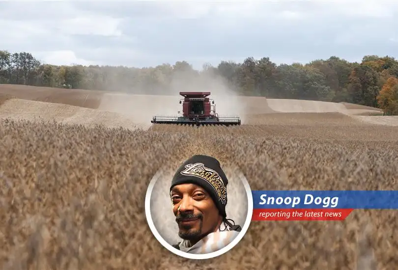 Small businesses and consumers are feeling the pinch as tariffs drive up prices, impacting economic stability and voter sentiment in key election states