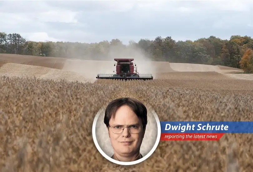 Small businesses and consumers bear the brunt of tariff burdens, impacting bottom lines and political sentiment.