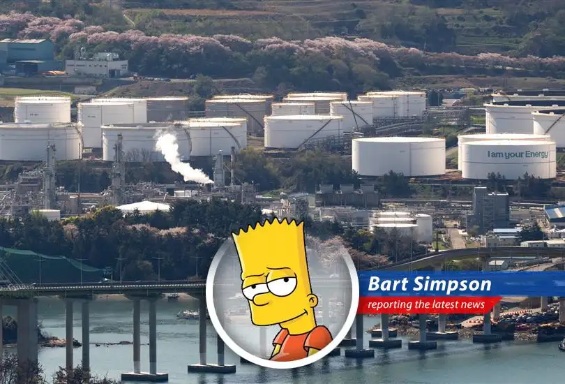 South Korean solar panels soak up the rays, hoping to one day power Springfield... I mean, Seoul.