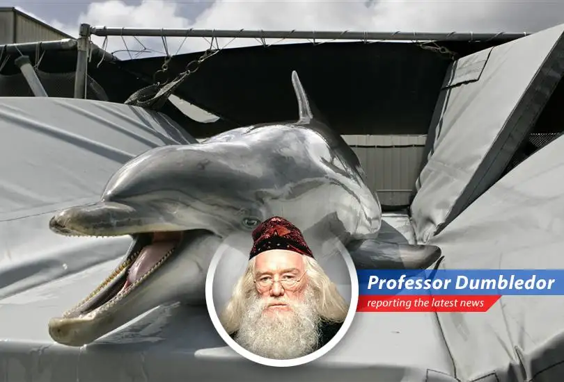 The US Navy has a long history of training dolphins for military purposes, including mine detection and surveillance.