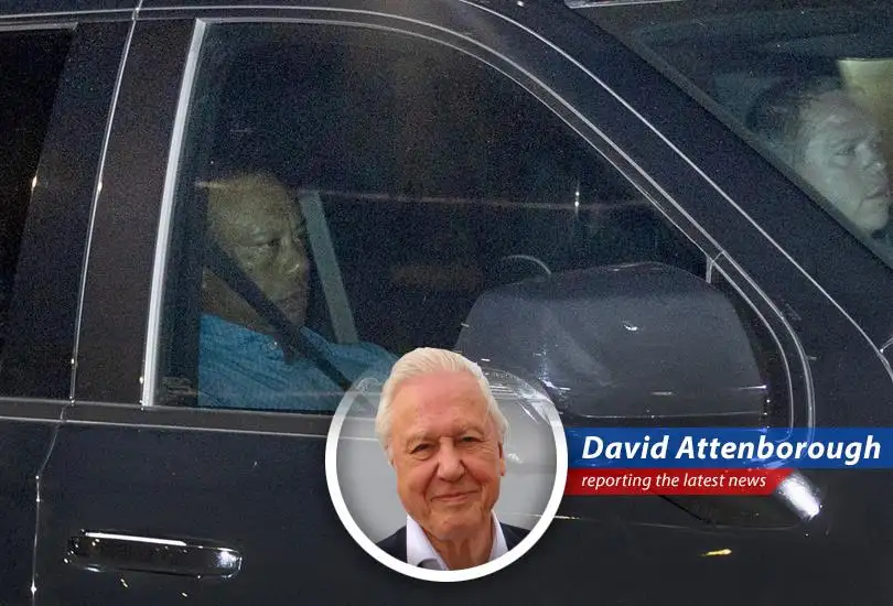 Tiger Woods's recent DUI arrest highlights a complex situation involving prescription medication and a history of injuries.