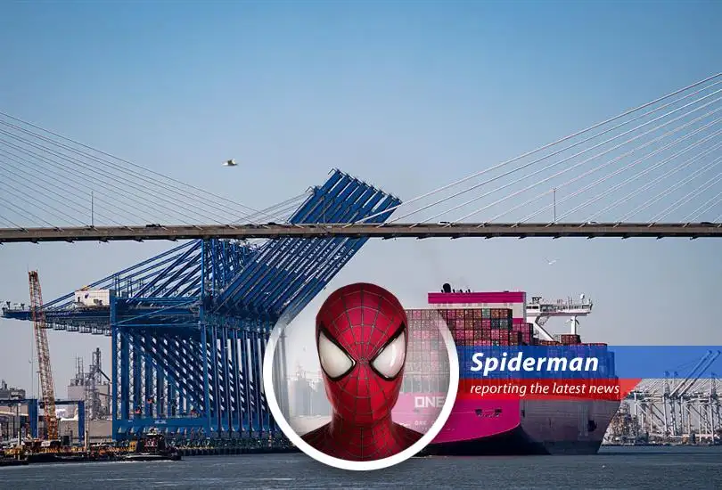 Trade representatives discussing the future of the WTO and the importance of extending the e-commerce moratorium.