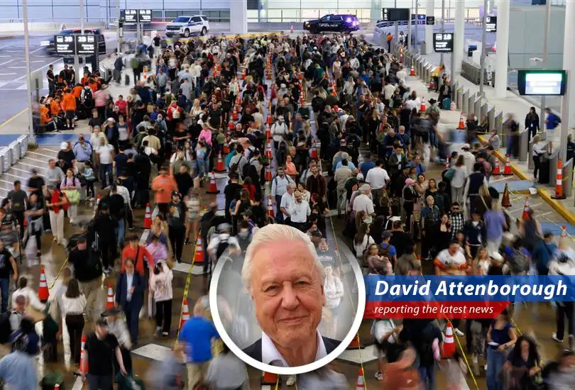 Travelers face rising airfares and long security lines at airports across the U.S.