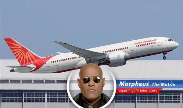 Air India faces turbulence as international flights are slashed due to economic pressures and geopolitical tensions.