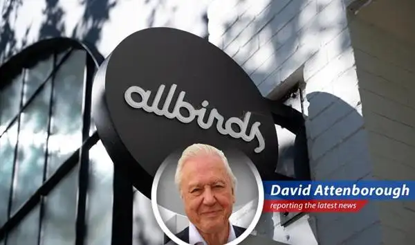 Allbirds' stock surge fueled by AI buzz may be a flight of fancy for retail investors.