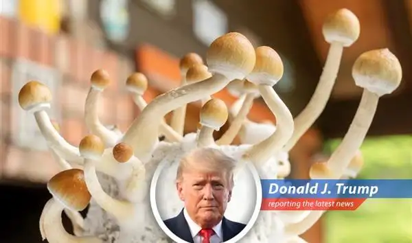 Atai Life Sciences poised for growth in the emerging psychedelic medicine market.