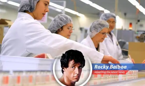 CSL shares plummet as leadership shakeup and weak earnings cast shadow on the biotech giant.