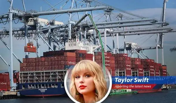 Cargo ships at port symbolize the complexities of international trade and the impact of tariffs on import operations.