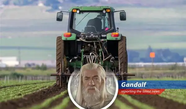 El Niño is predicted to impact global food production and security.