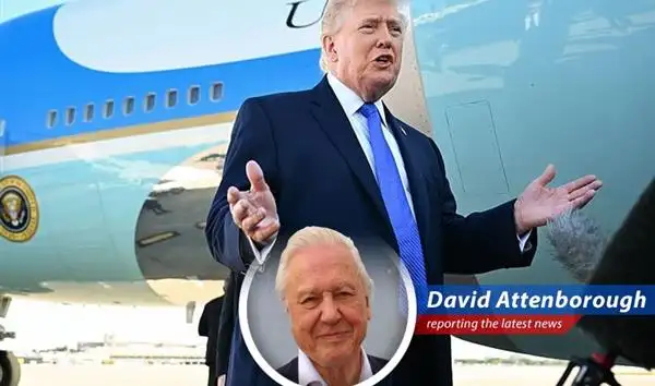 European stocks rebound as diplomatic efforts offer a glimmer of hope amid geopolitical tensions.