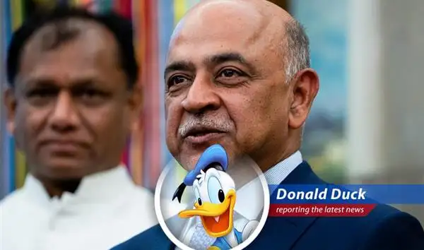 IBM's Q1 earnings were a mixed bag, leaving investors feeling a bit like a duck out of water.