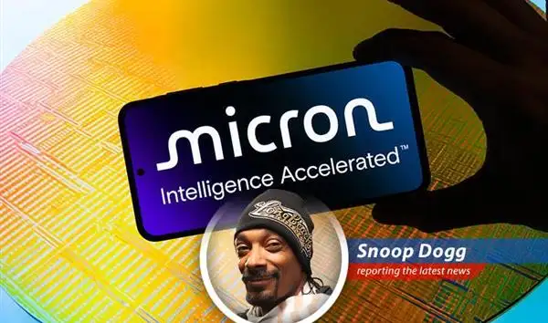 Micron's YTD stock performance shows a company riding the wave of AI demand, but even Snoop knows, what goes up must come down... or at least consolidate a little, ya dig?