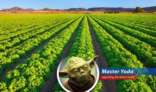 Rising energy costs in the Middle East are causing concern for Wall Street investors due to potential ripple effects on global food prices